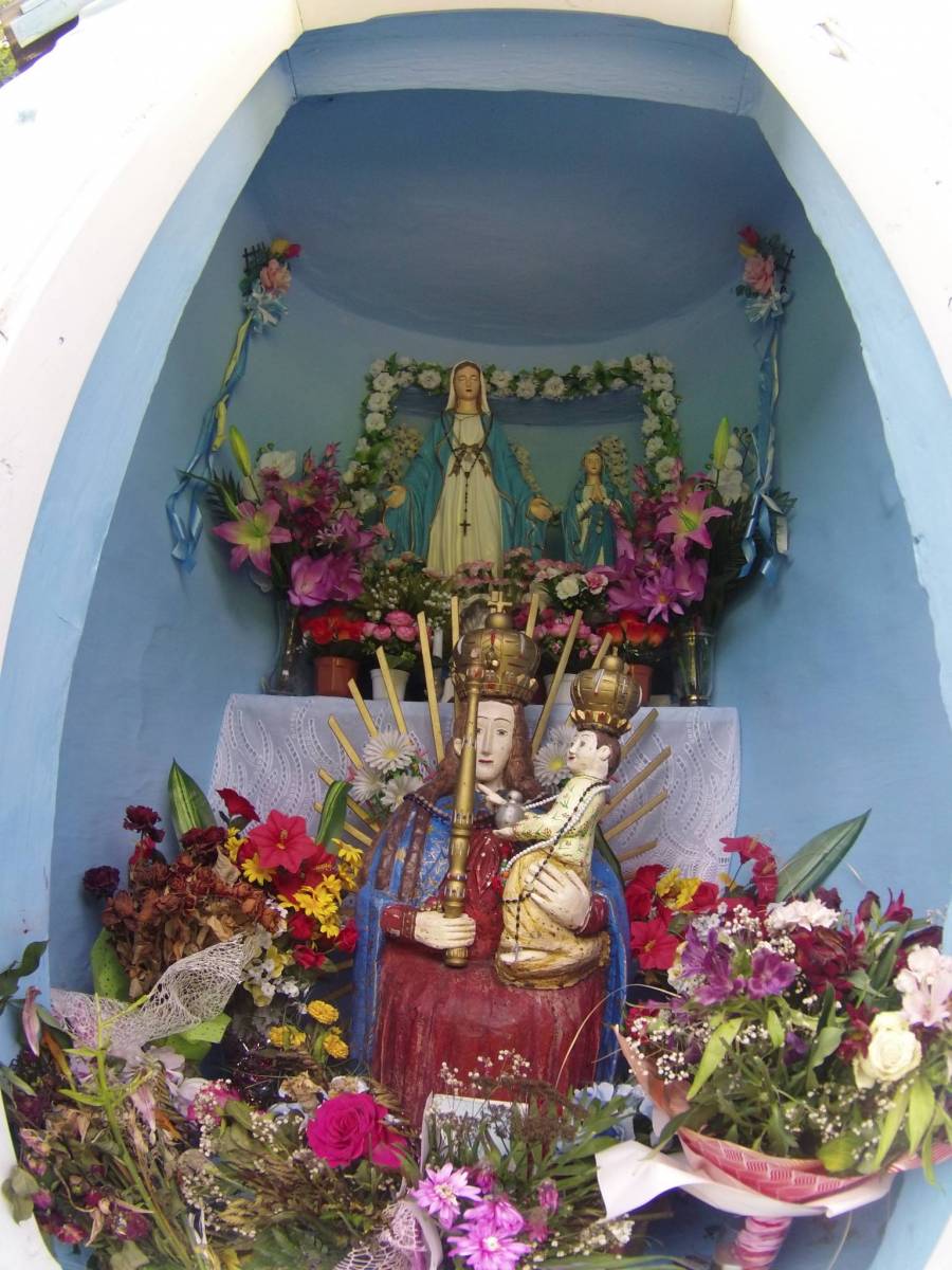 Photo 6