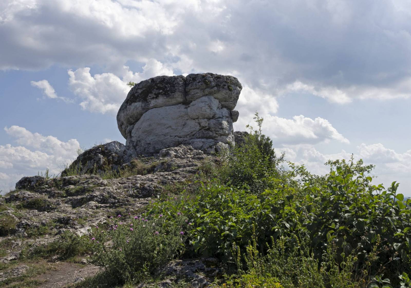 Zdjęcie 3