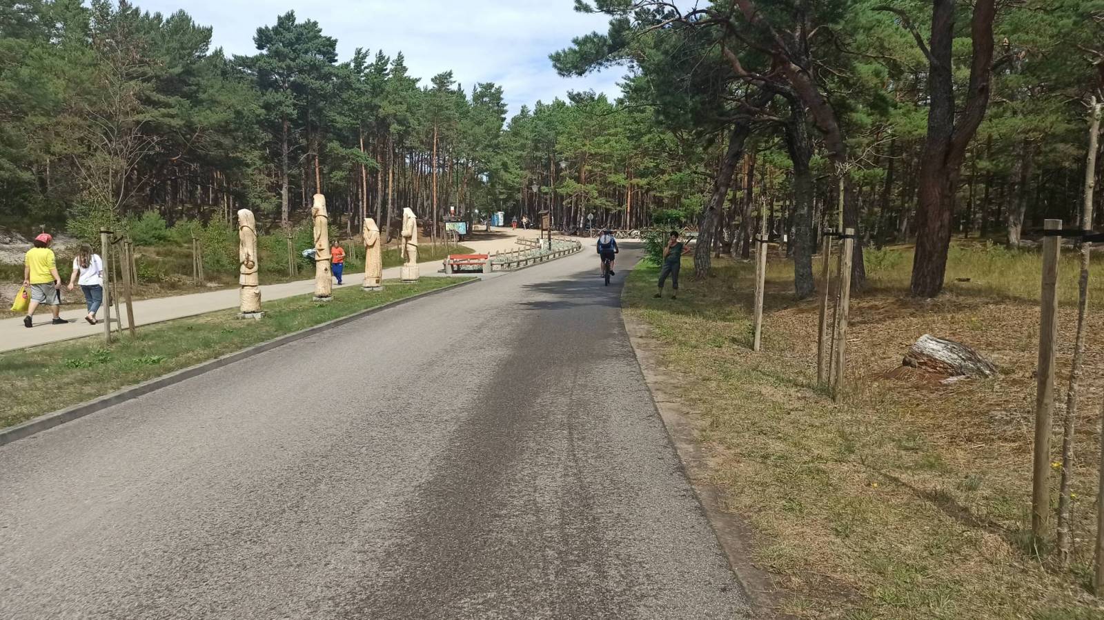 Zdjęcie 6