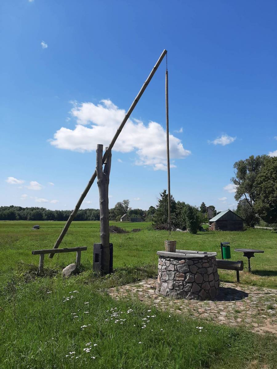 Zdjęcie 5