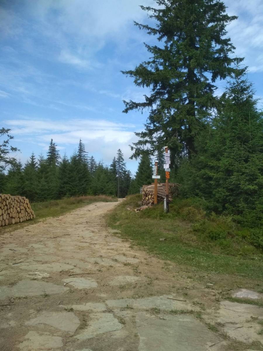Zdjęcie 2