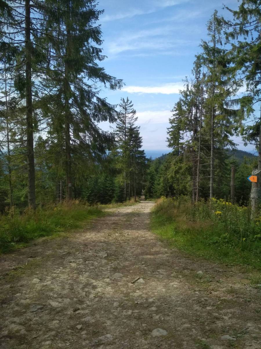 Zdjęcie 5