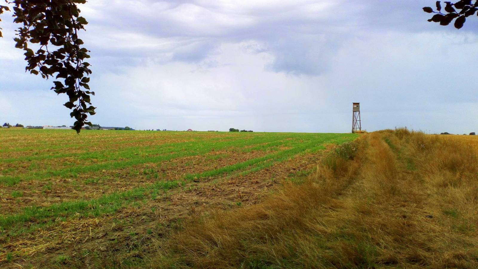 Zdjęcie 6