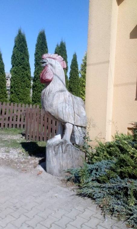 Zdjęcie 5