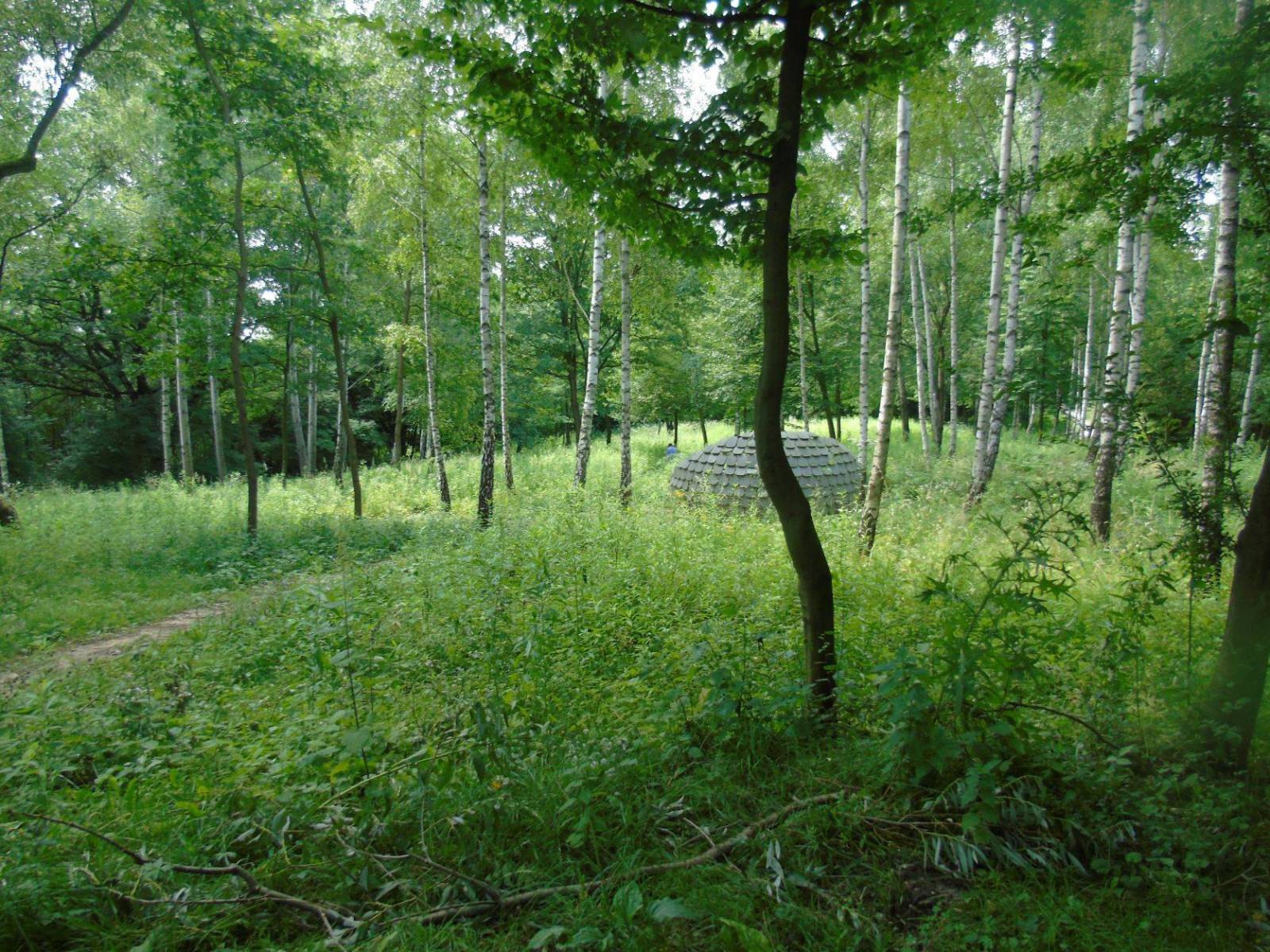 Zdjęcie 6