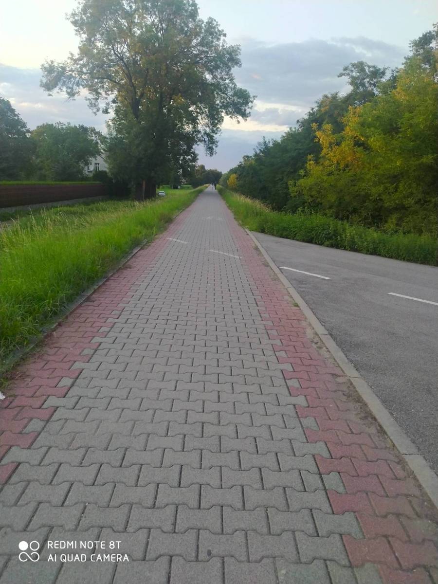 Zdjęcie 3