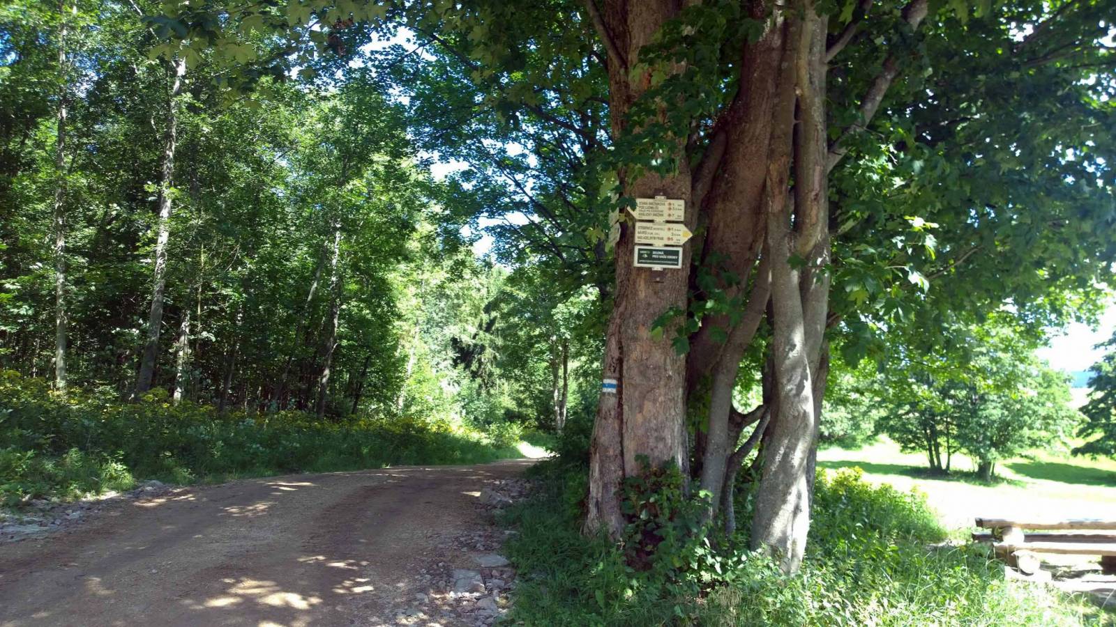 Zdjęcie 6