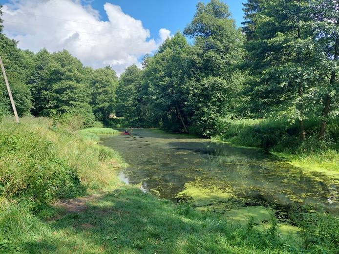 Zdjęcie 6