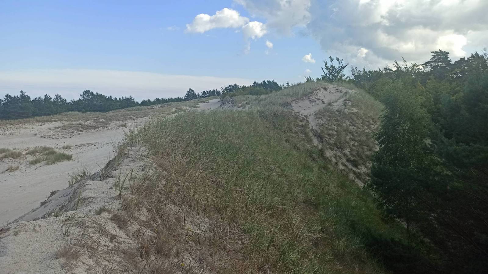 Zdjęcie 5