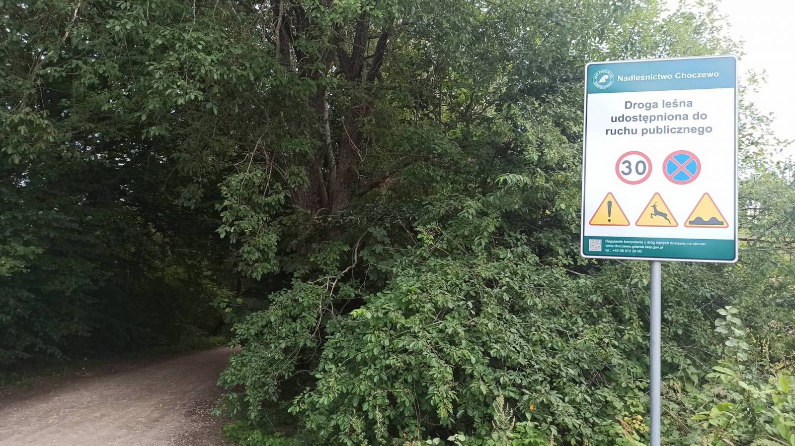 Zdjęcie 3