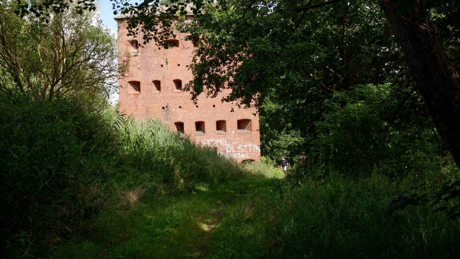 Zdjęcie 6