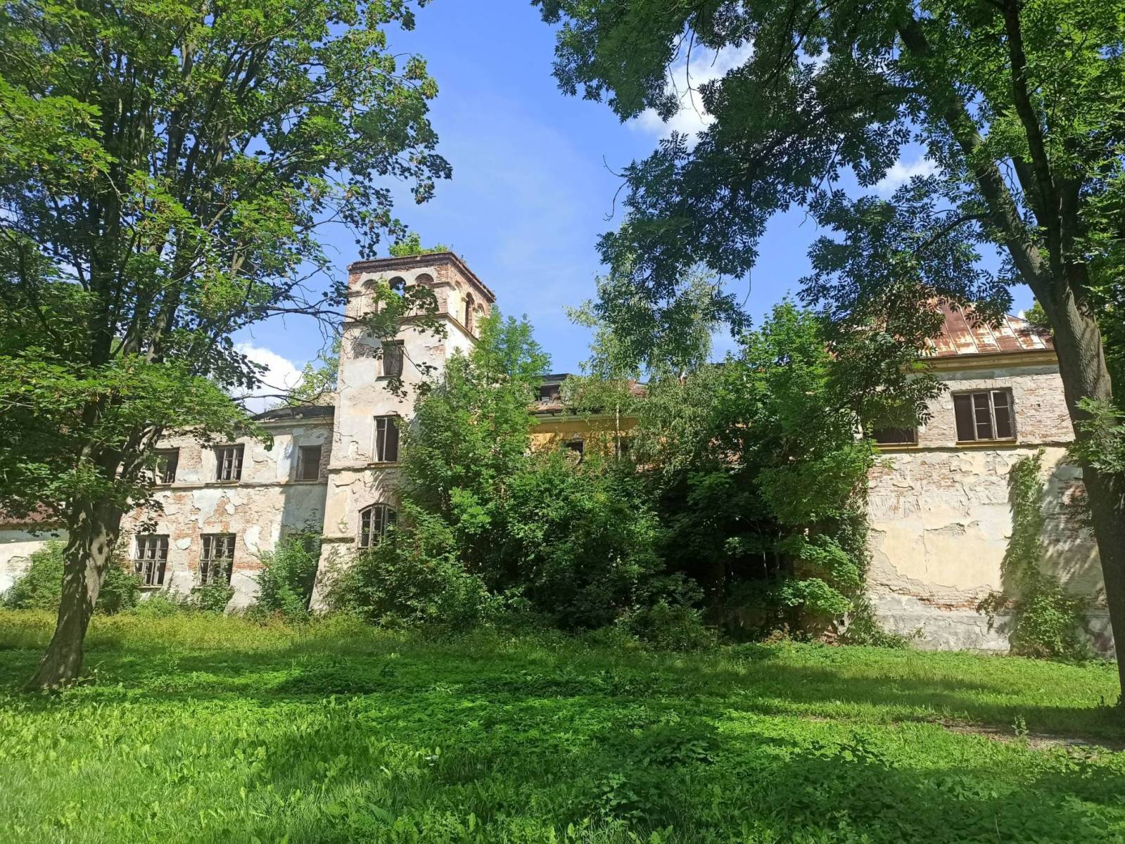 Zdjęcie 3