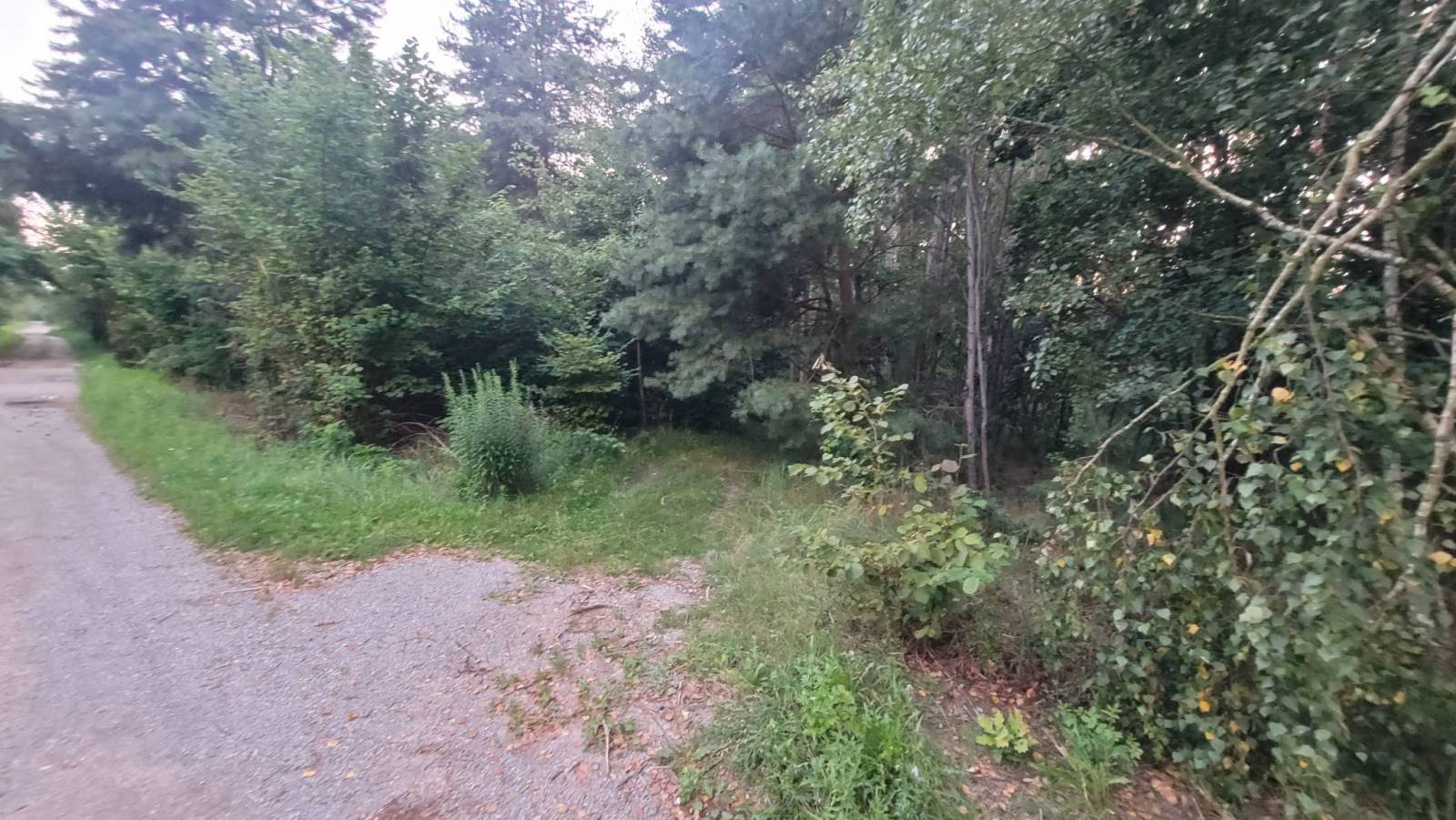 Zdjęcie 3