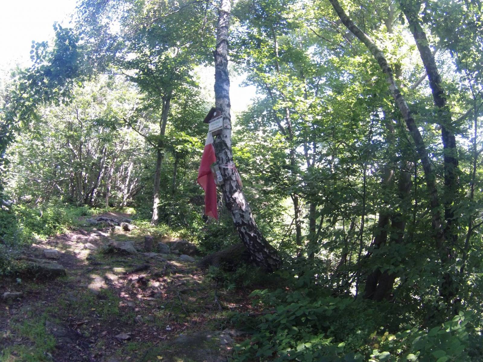 Zdjęcie 2