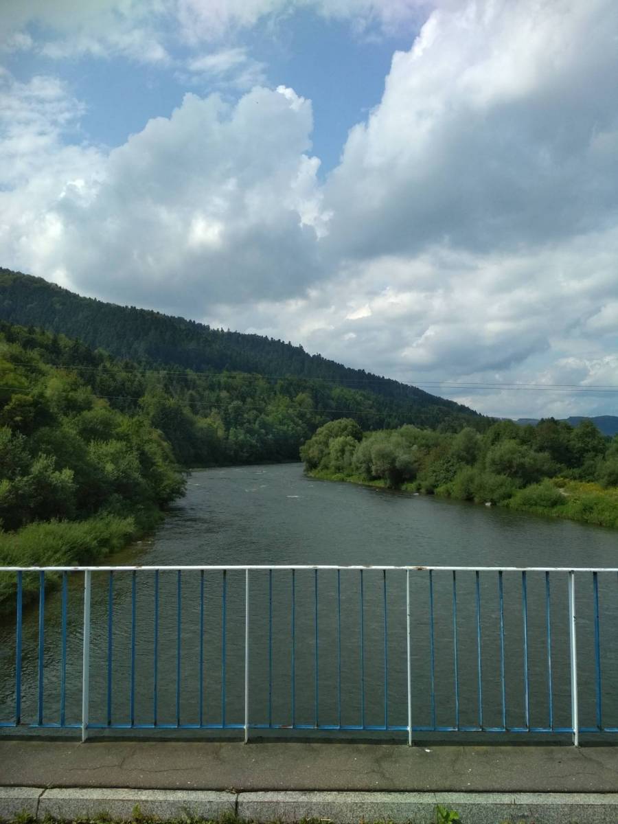 Zdjęcie 6