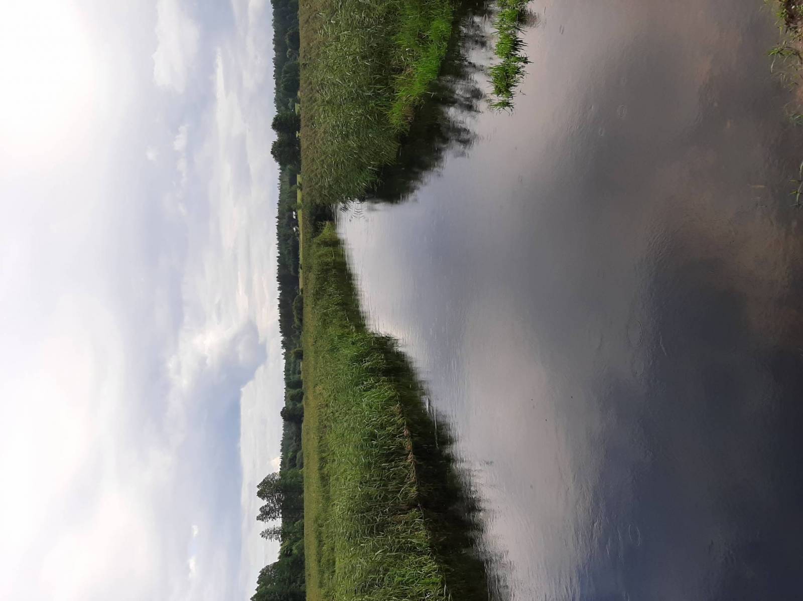 Zdjęcie 6