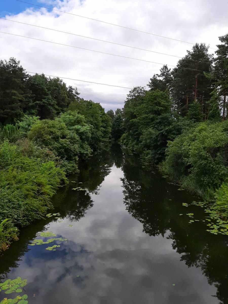 Zdjęcie 4