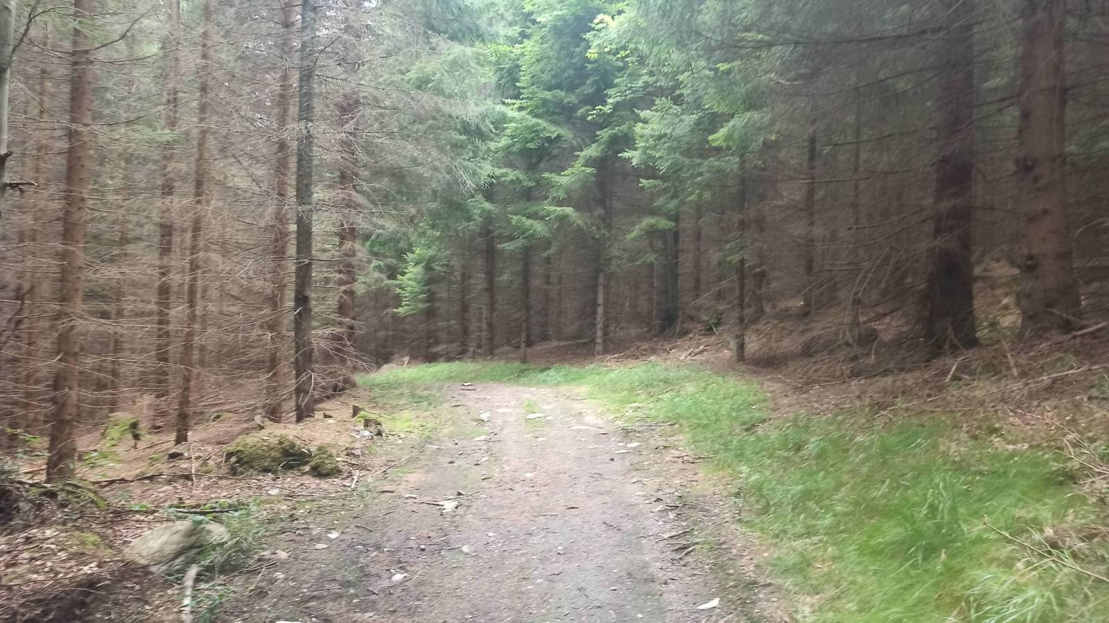 Zdjęcie 4