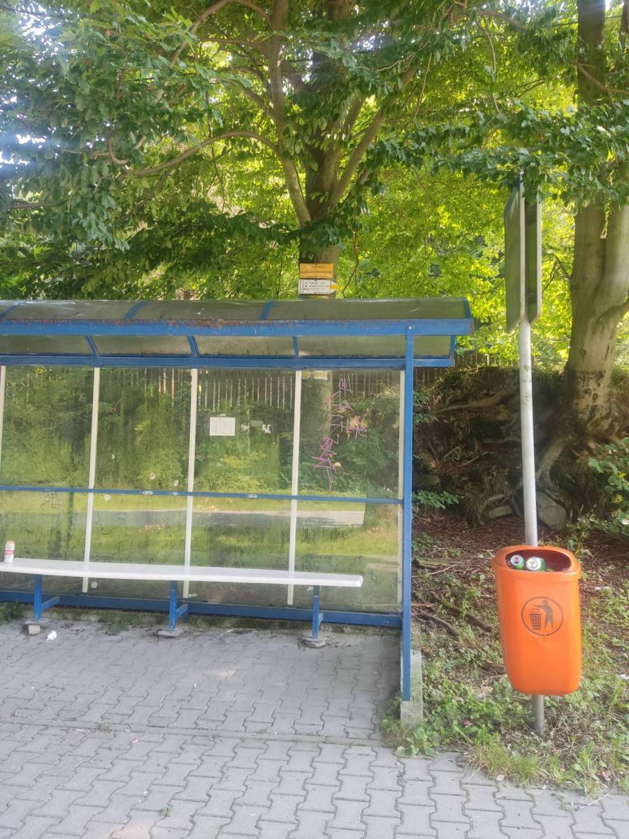 Zdjęcie 4