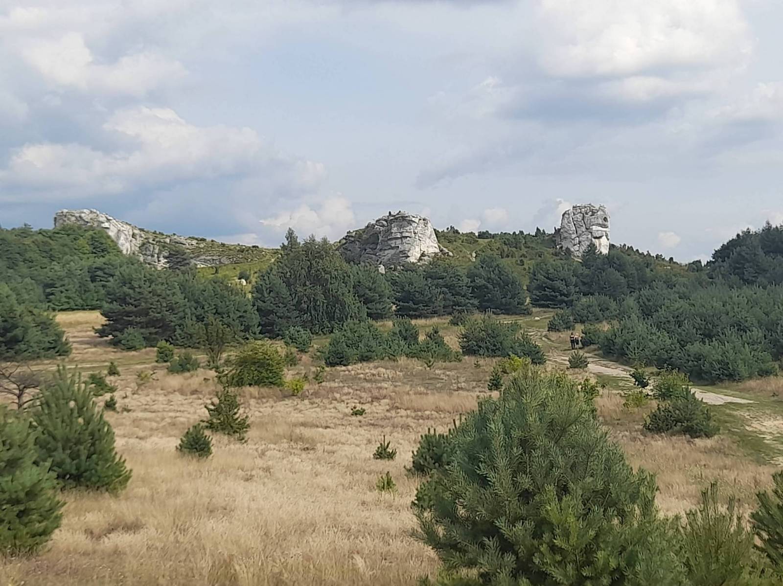 Zdjęcie 5