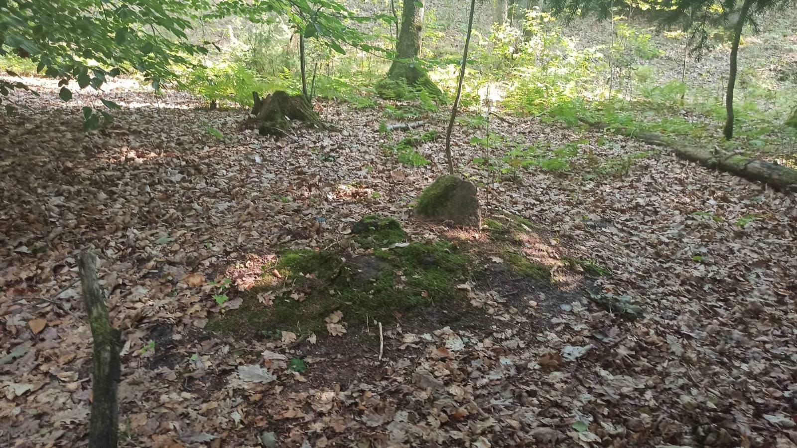 Zdjęcie 5
