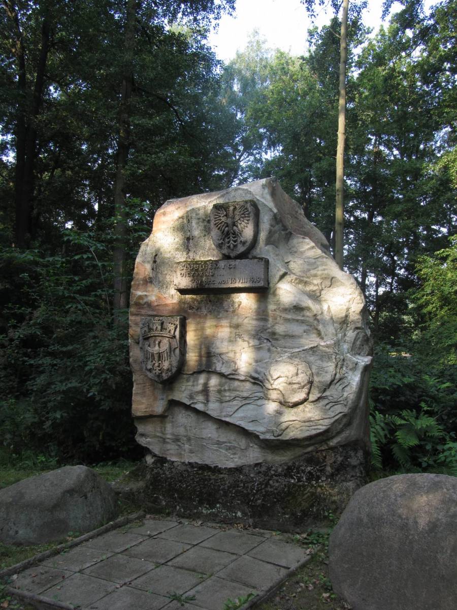 Zdjęcie 4