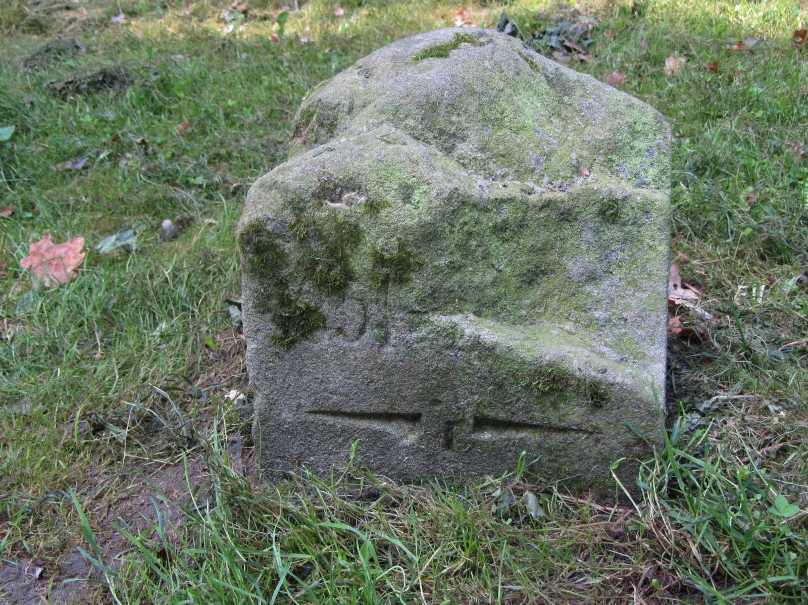 Zdjęcie 6