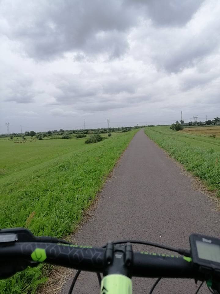 Zdjęcie 4