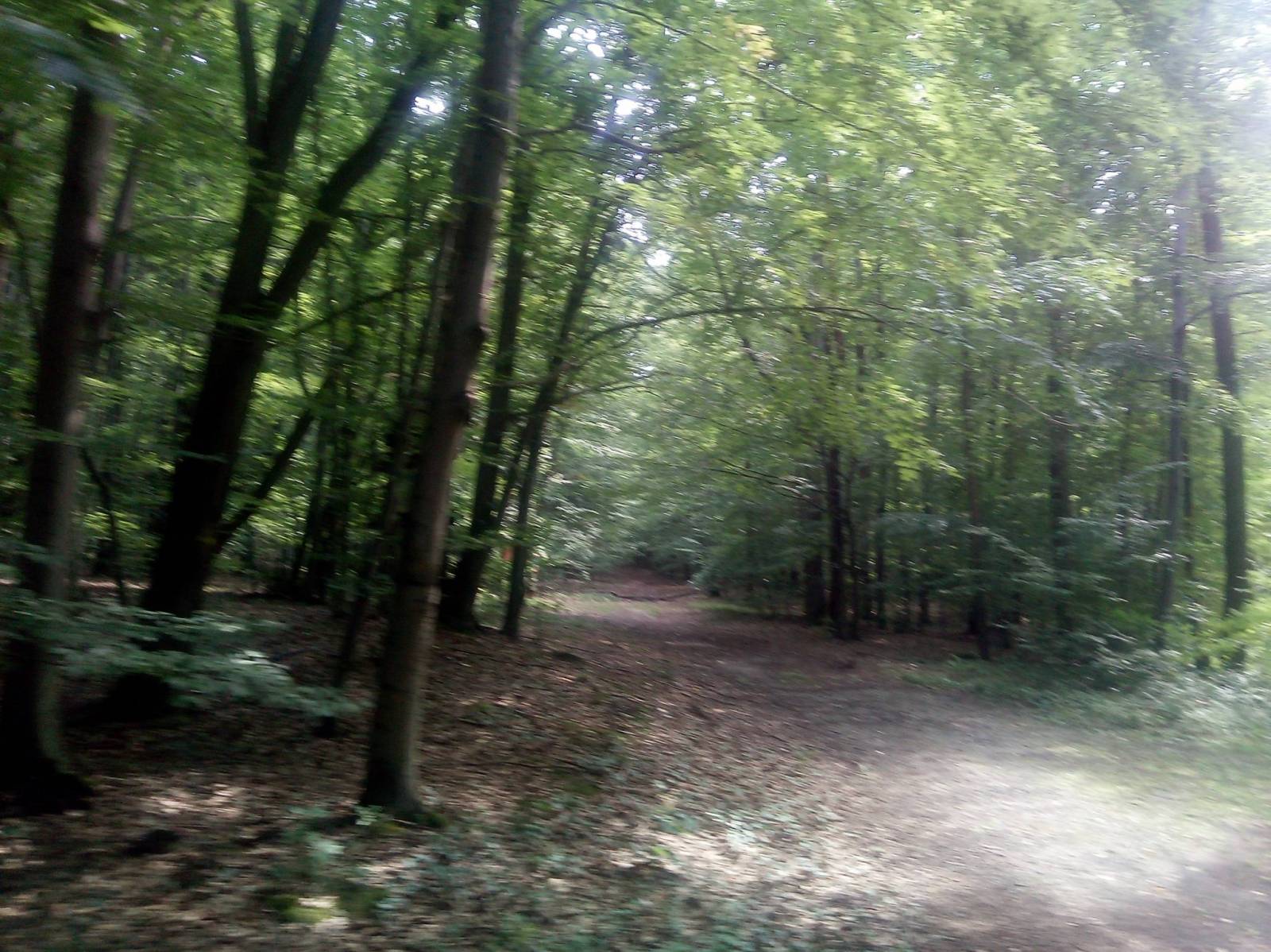 Zdjęcie 3