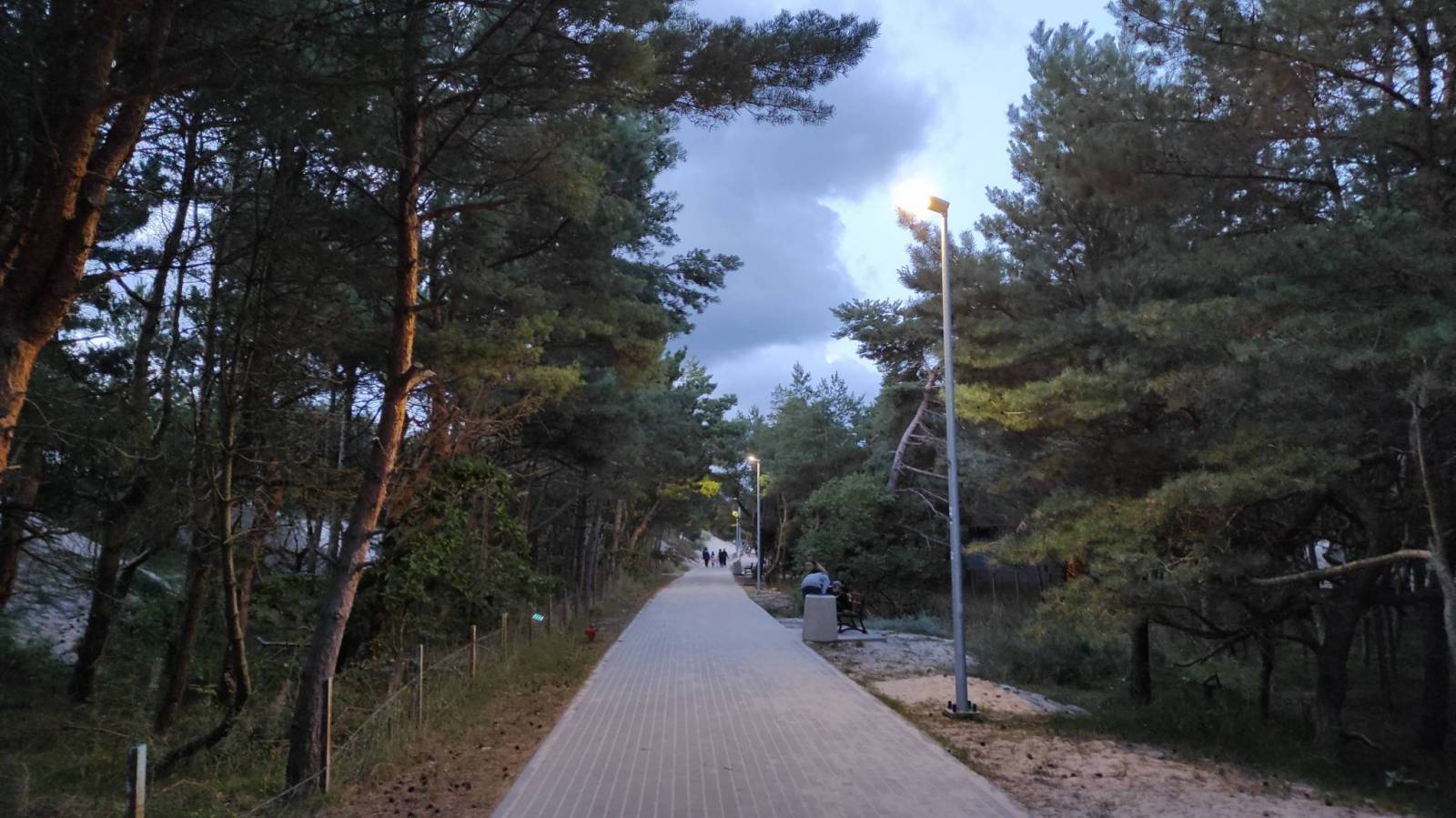 Zdjęcie 5