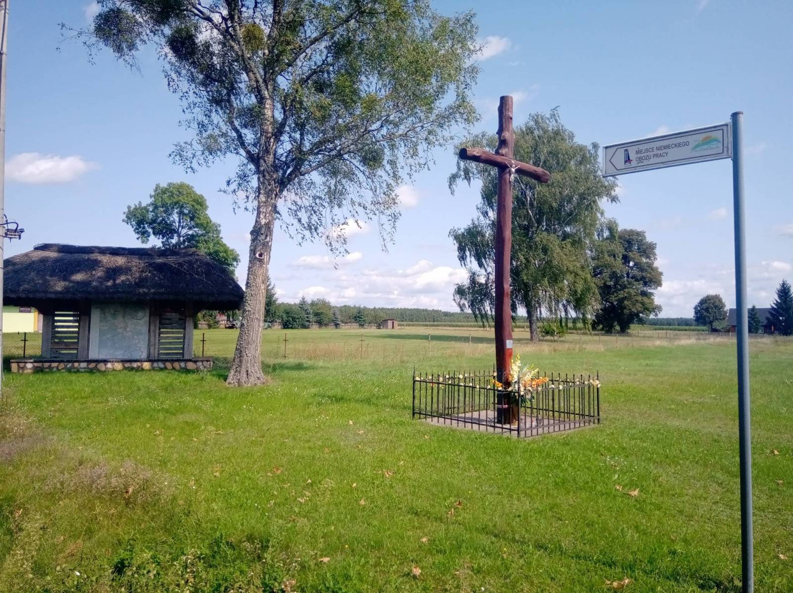 Zdjęcie 3