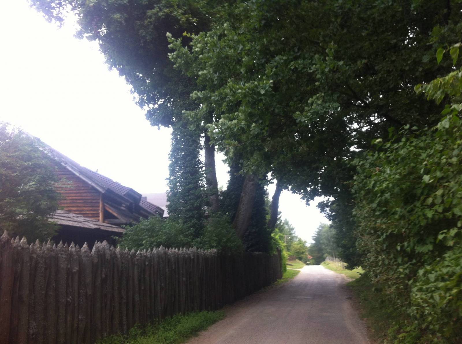 Zdjęcie 3