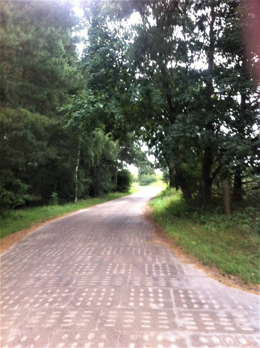 Zdjęcie 3