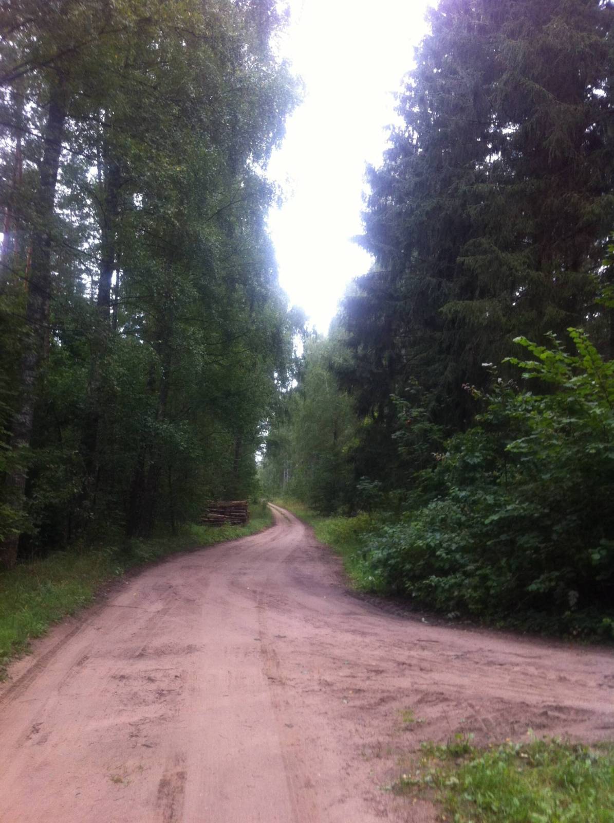 Zdjęcie 6