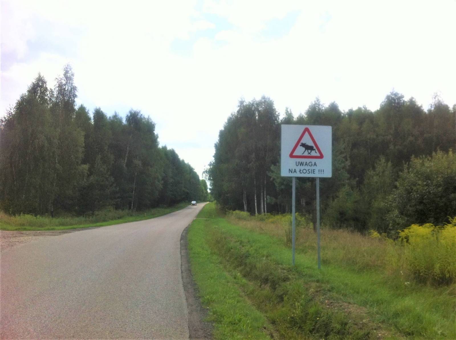 Zdjęcie 6