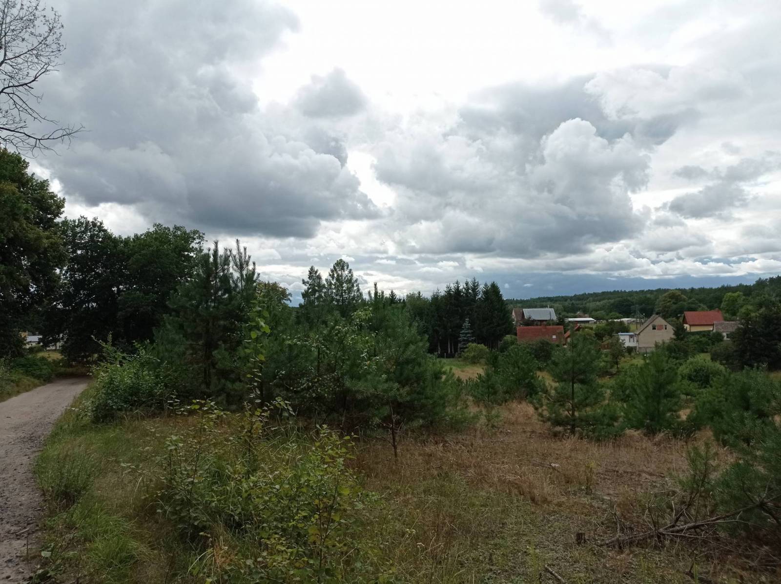Zdjęcie 6
