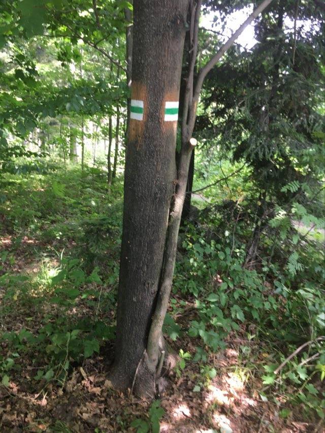 Zdjęcie 2