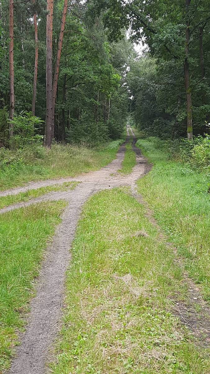 Zdjęcie 4