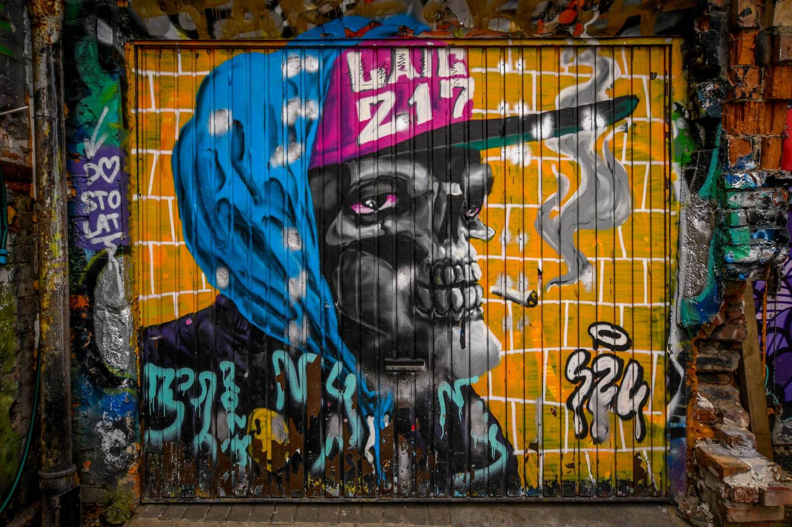 Zdjęcie 6
