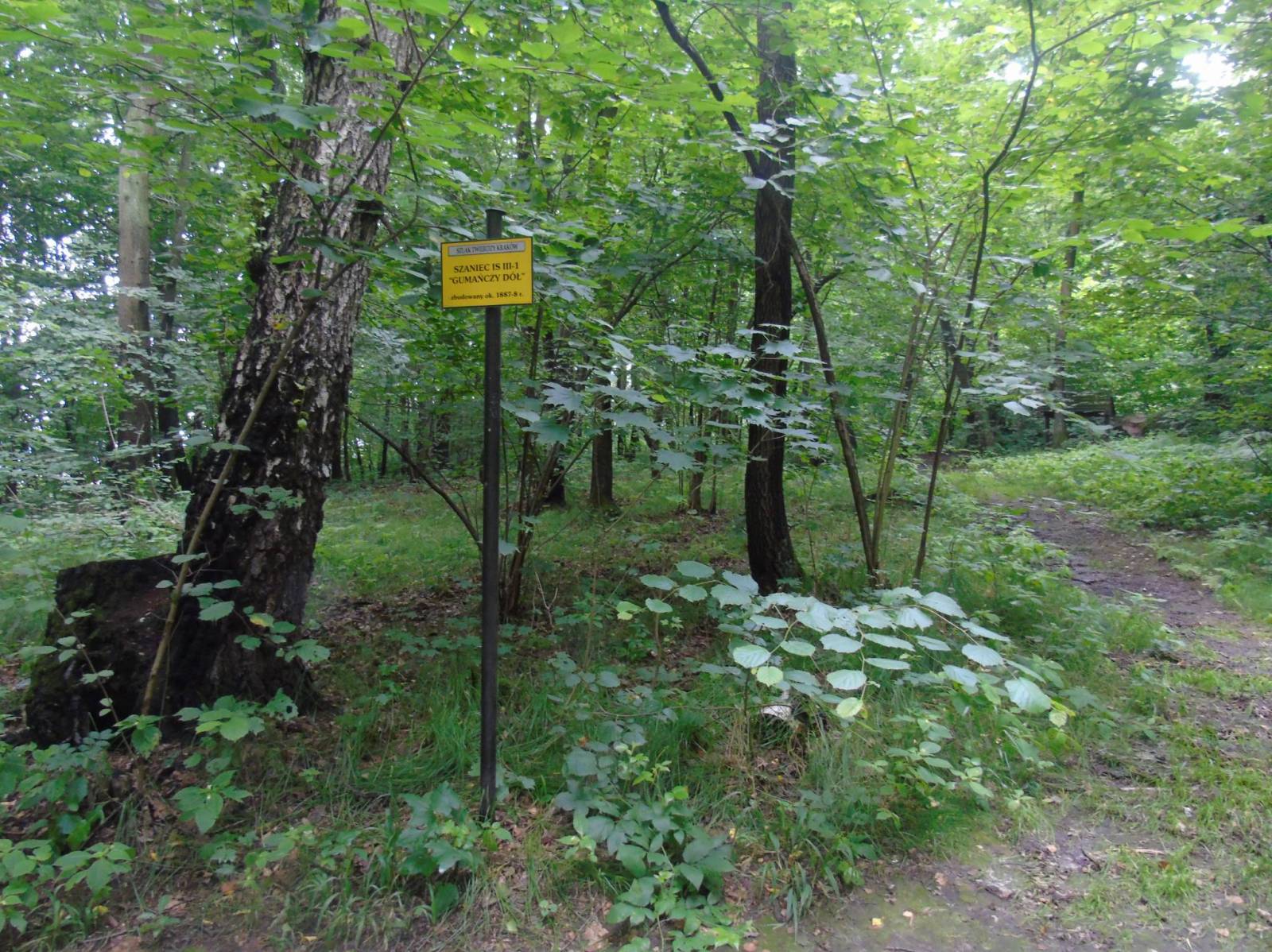 Zdjęcie 6