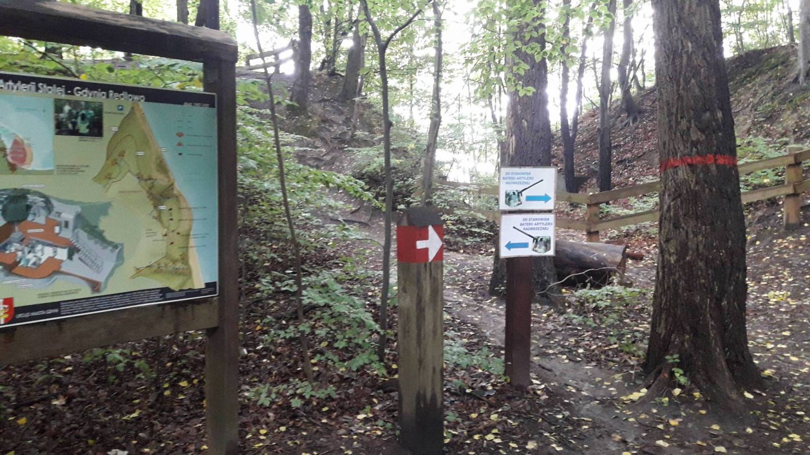 Zdjęcie 5