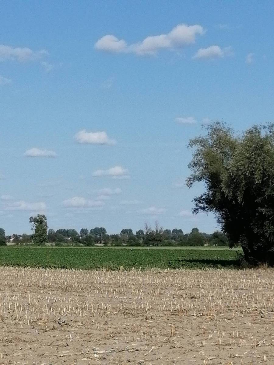 Zdjęcie 2