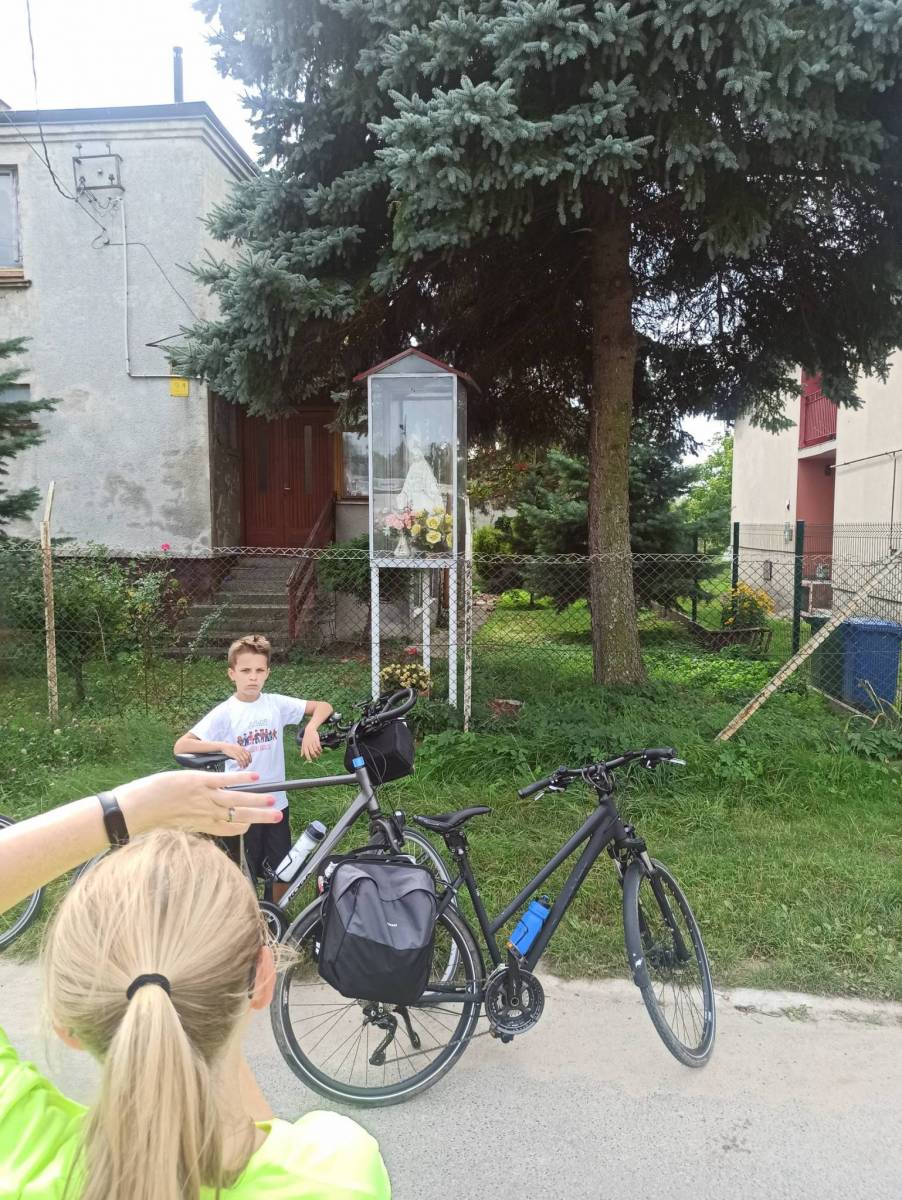 Zdjęcie 3