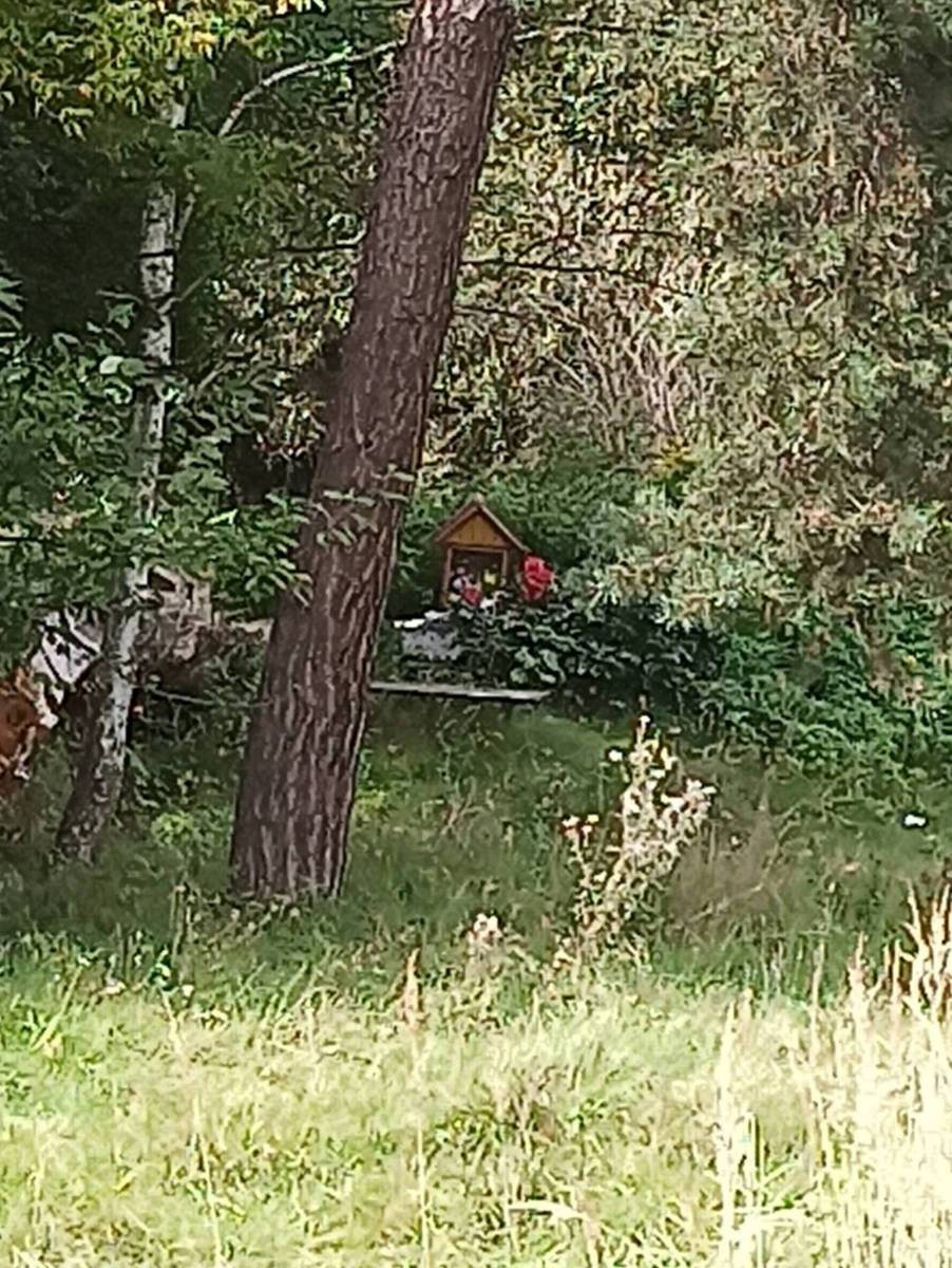 Zdjęcie 3
