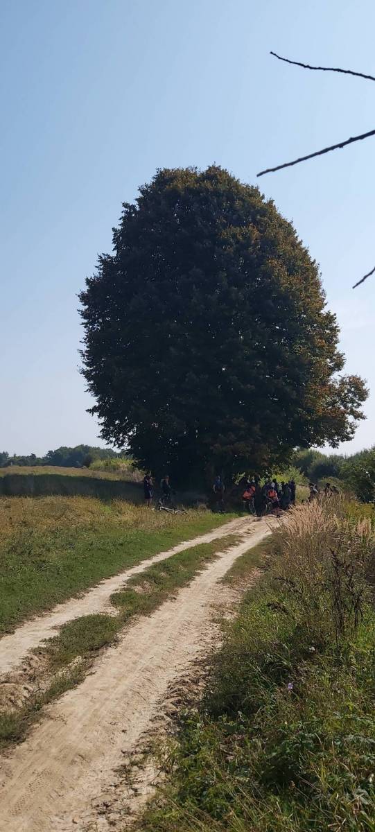 Zdjęcie 4