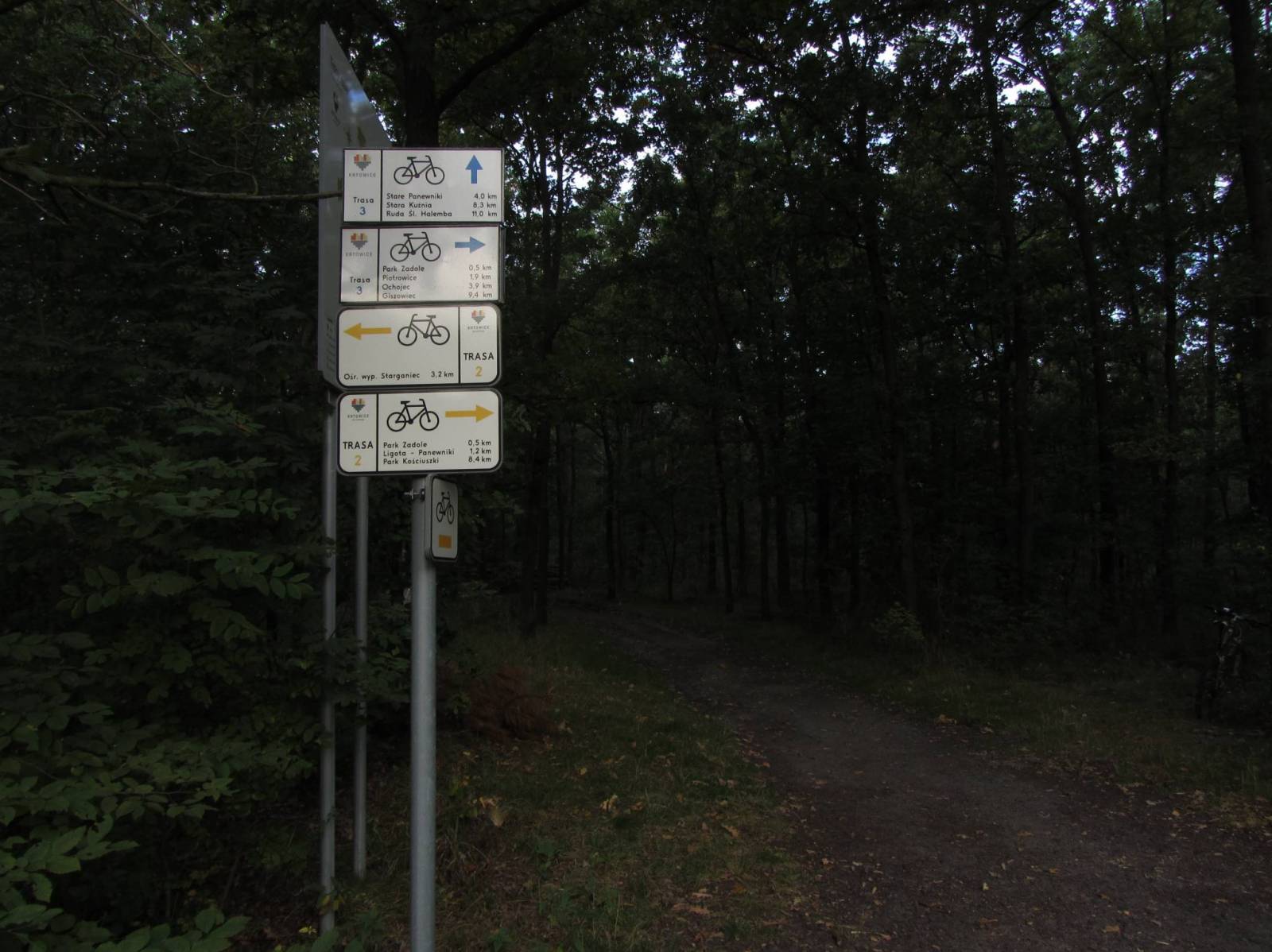 Zdjęcie 6