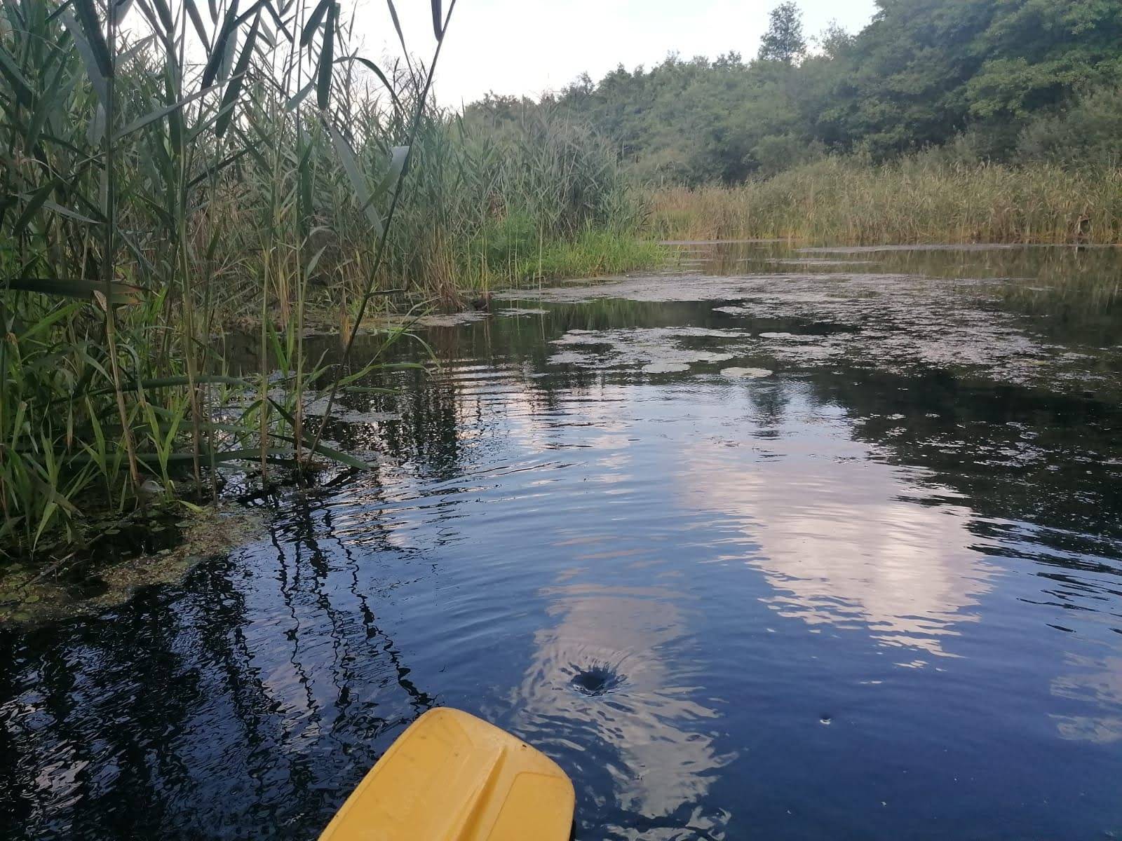 Zdjęcie 3