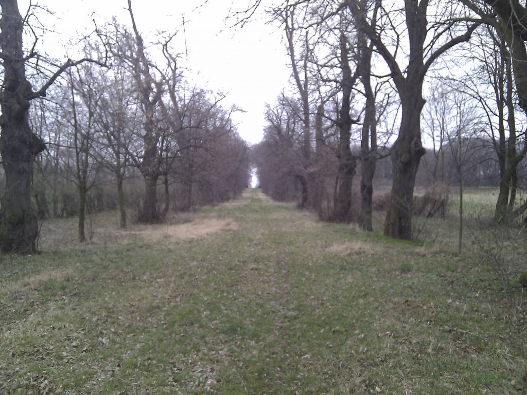 Zdjęcie 6