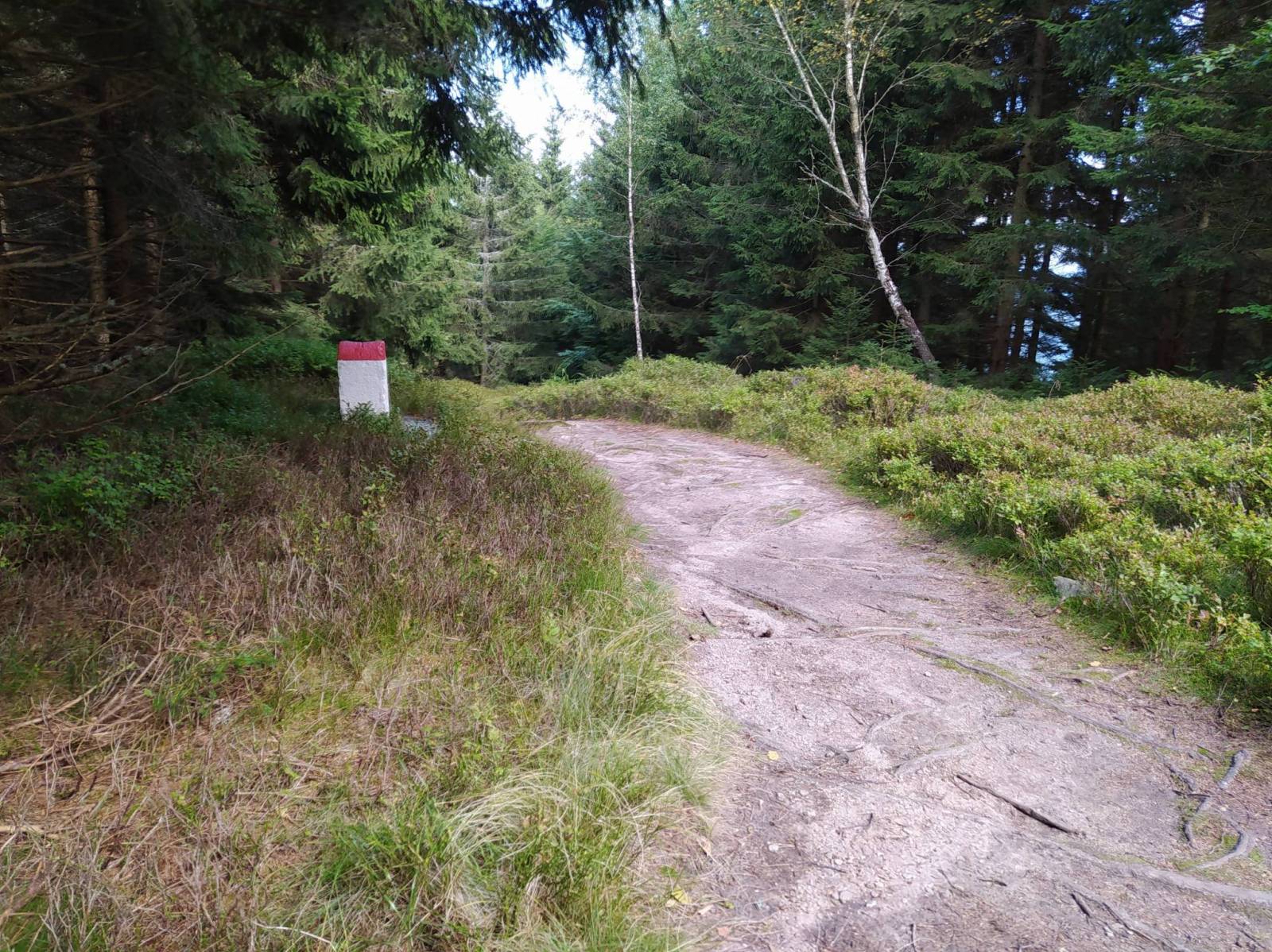 Zdjęcie 3