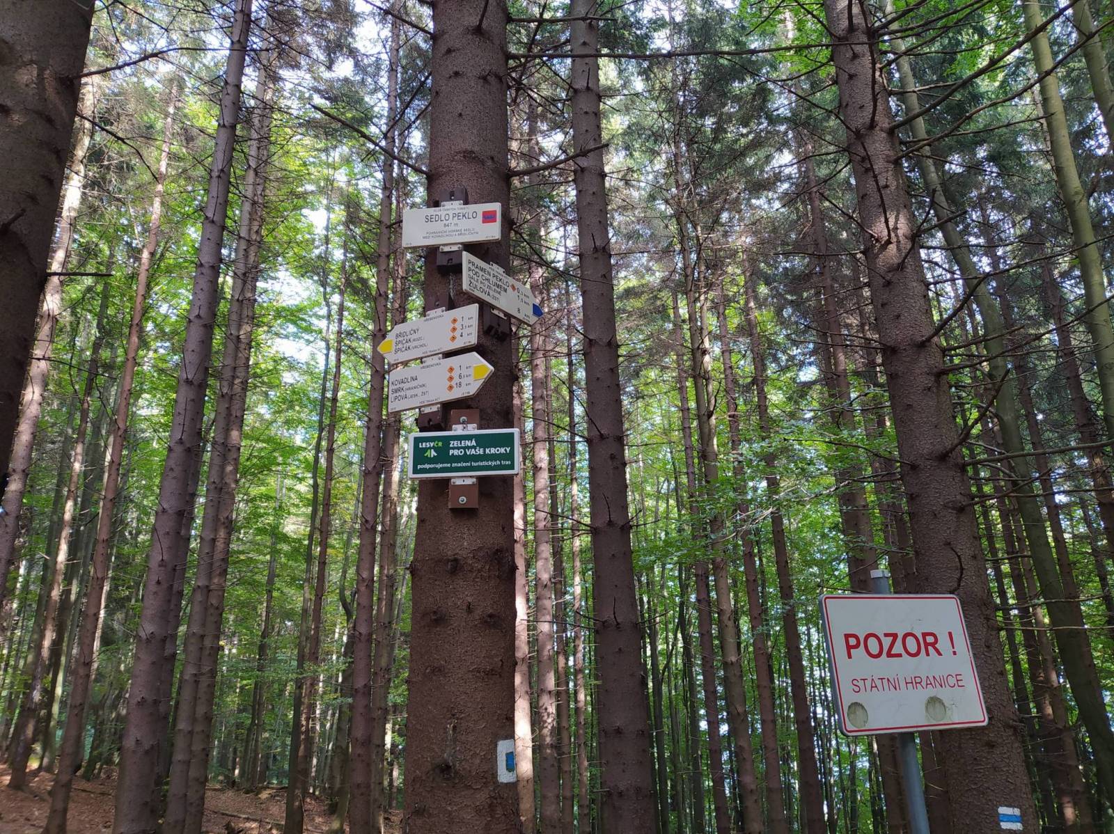 Zdjęcie 4